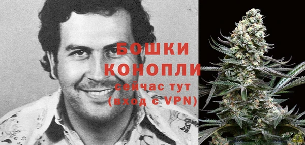 MDMA Лагань