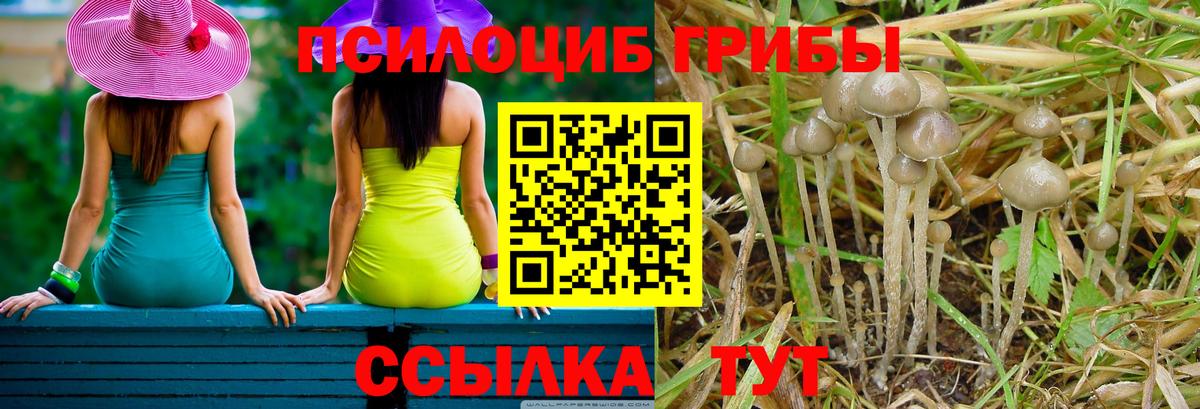 Героин Новошахтинск