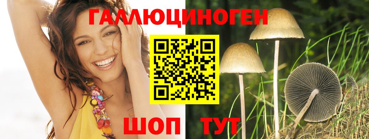 Псилоцибиновые грибы MAGIC MUSHROOMS Новошахтинск